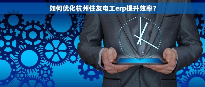 如何优化杭州住友电工erp提升效率？
