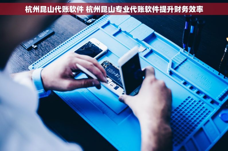 杭州昆山代账软件 杭州昆山专业代账软件提升财务效率