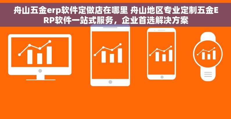 舟山五金erp软件定做店在哪里 舟山地区专业定制五金ERP软件一站式服务，企业首选解决方案