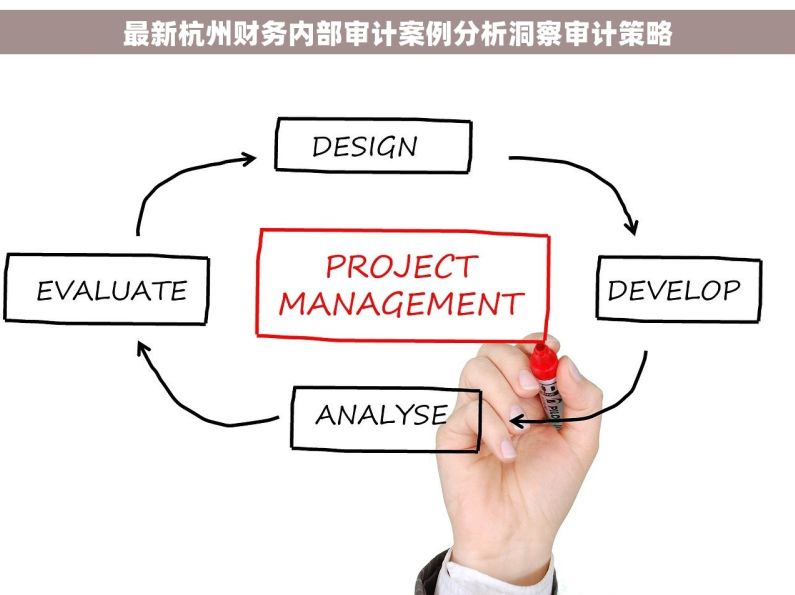 最新杭州财务内部审计案例分析洞察审计策略
