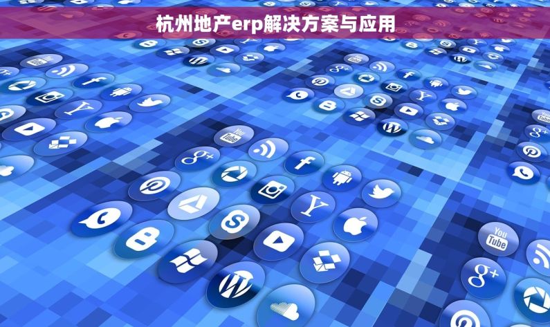 杭州地产erp解决方案与应用