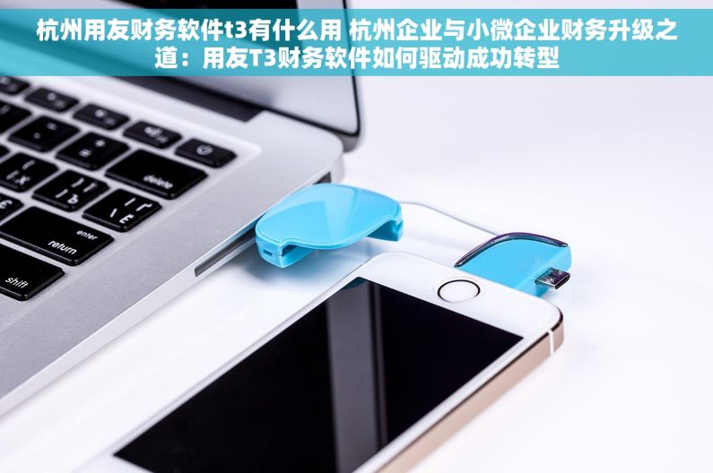 杭州用友财务软件t3有什么用 杭州企业与小微企业财务升级之道：用友T3财务软件如何驱动成功转型