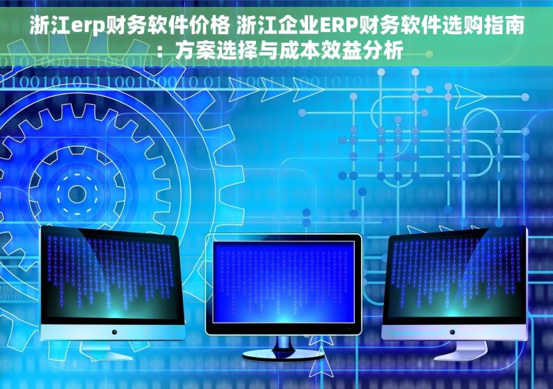 浙江erp财务软件价格 浙江企业ERP财务软件选购指南：方案选择与成本效益分析