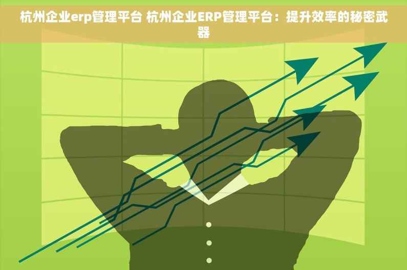 杭州企业erp管理平台 杭州企业ERP管理平台：提升效率的秘密武器