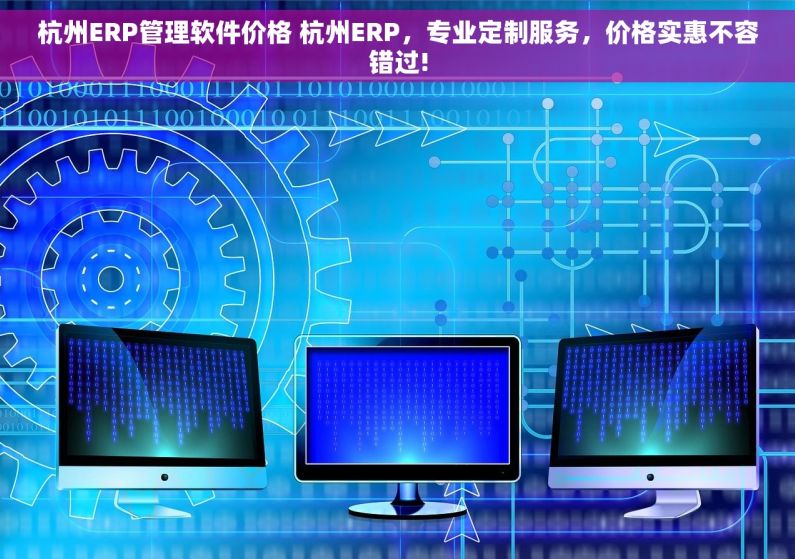 杭州ERP管理软件价格 杭州ERP，专业定制服务，价格实惠不容错过!