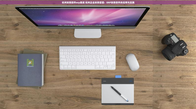 杭州财务软件erp系统 杭州企业财务管理：ERP财务软件的应用与实践