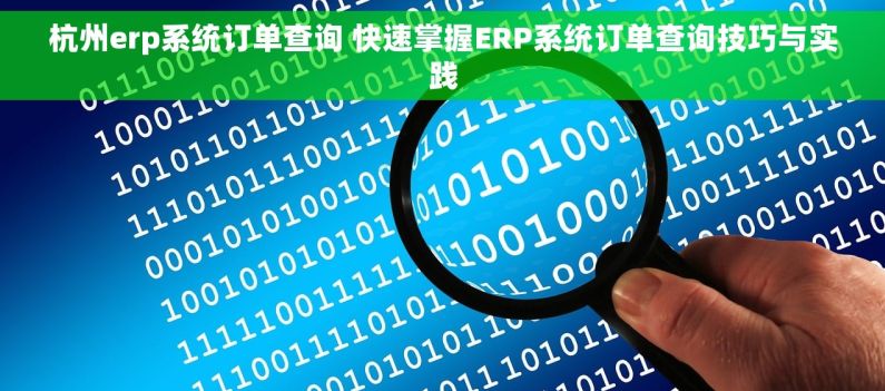 杭州erp系统订单查询 快速掌握ERP系统订单查询技巧与实践