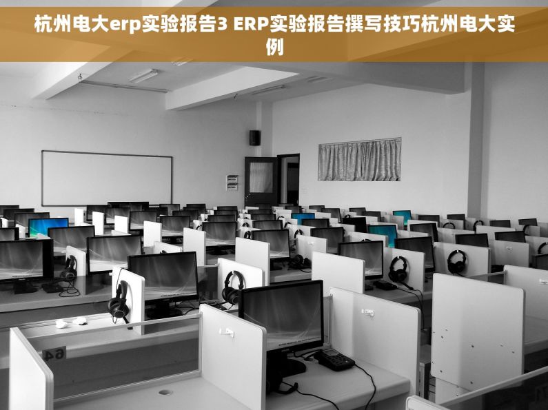 杭州电大erp实验报告3 ERP实验报告撰写技巧杭州电大实例