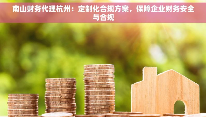 南山财务代理杭州：定制化合规方案，保障企业财务安全与合规