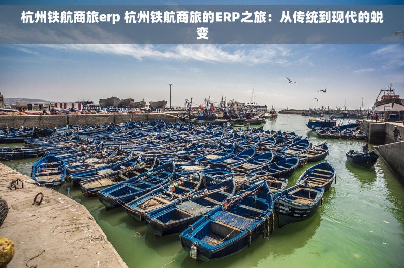 杭州铁航商旅erp 杭州铁航商旅的ERP之旅：从传统到现代的蜕变