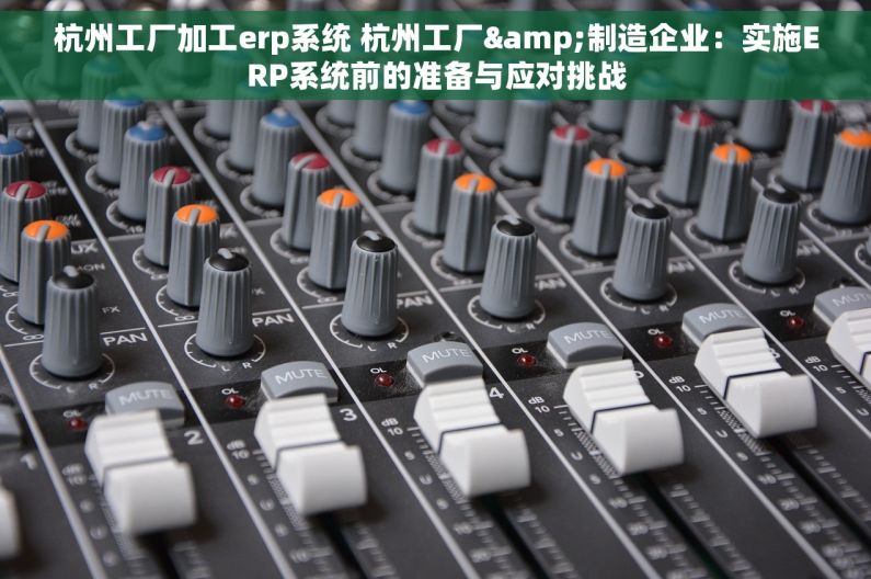 杭州工厂加工erp系统 杭州工厂&制造企业：实施ERP系统前的准备与应对挑战