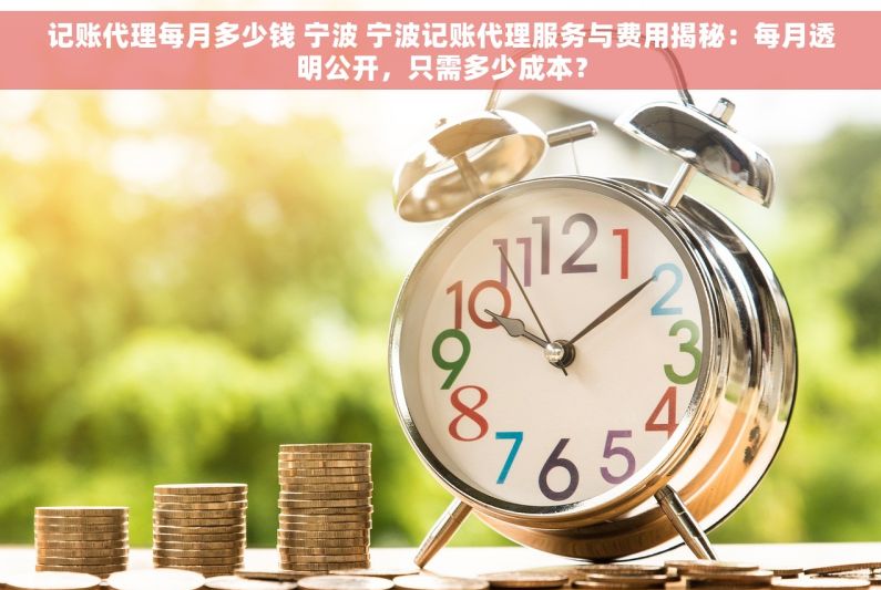 记账代理每月多少钱 宁波 宁波记账代理服务与费用揭秘：每月透明公开，只需多少成本？