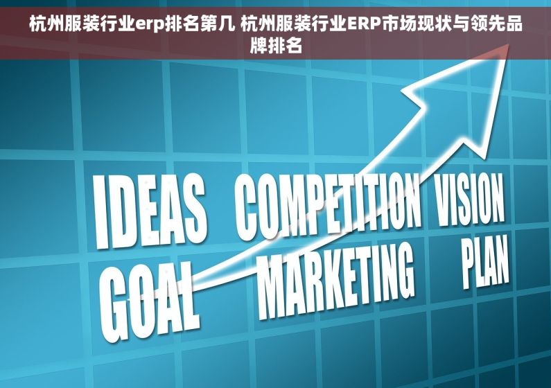 杭州服装行业erp排名第几 杭州服装行业ERP市场现状与领先品牌排名