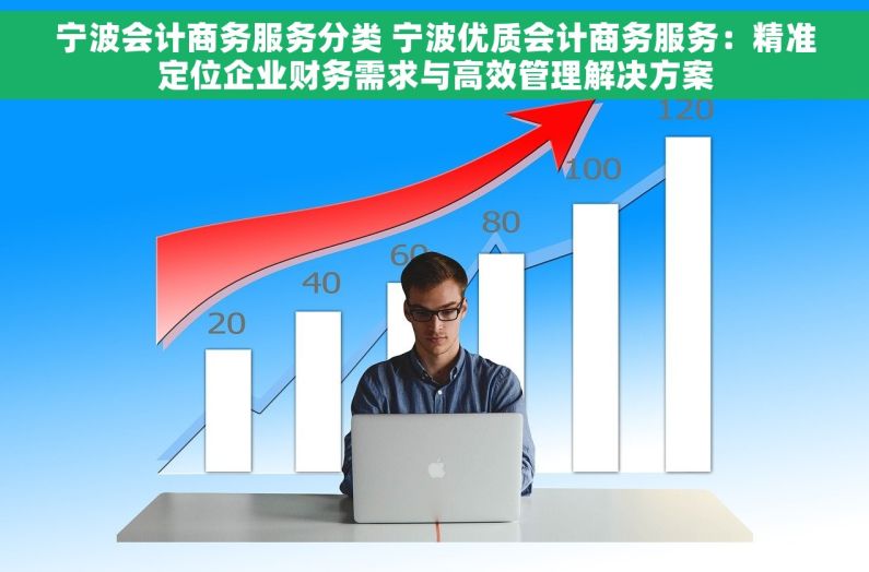 宁波会计商务服务分类 宁波优质会计商务服务：精准定位企业财务需求与高效管理解决方案