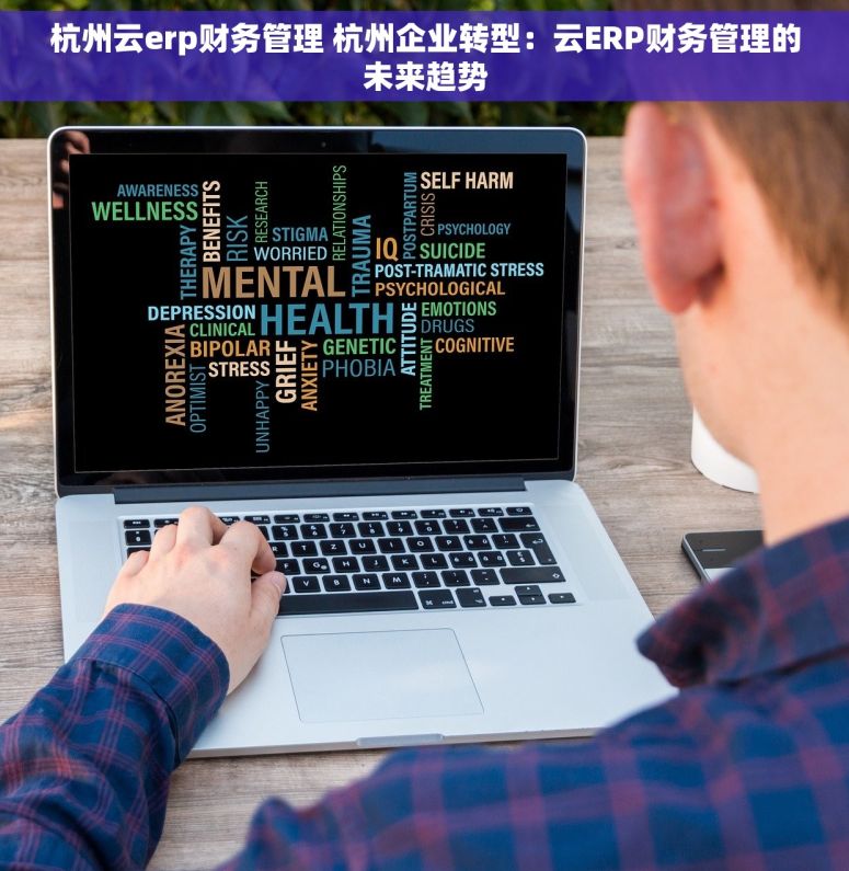 杭州云erp财务管理 杭州企业转型：云ERP财务管理的未来趋势