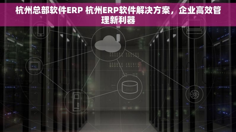 杭州总部软件ERP 杭州ERP软件解决方案，企业高效管理新利器