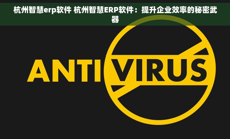杭州智慧erp软件 杭州智慧ERP软件：提升企业效率的秘密武器