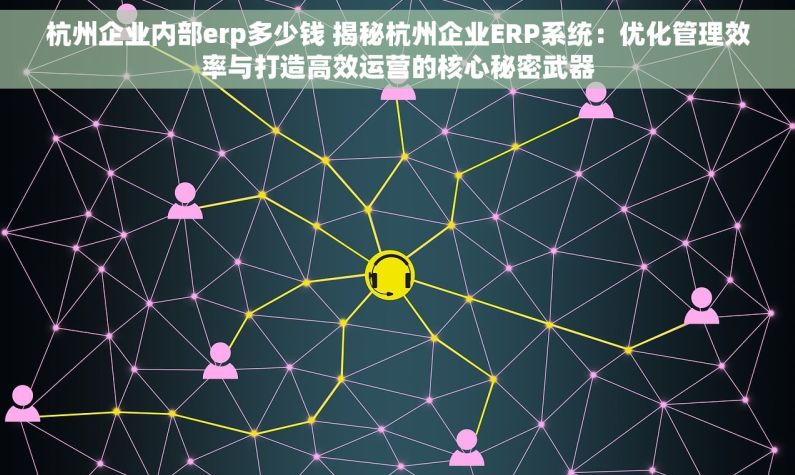 杭州企业内部erp多少钱 揭秘杭州企业ERP系统：优化管理效率与打造高效运营的核心秘密武器