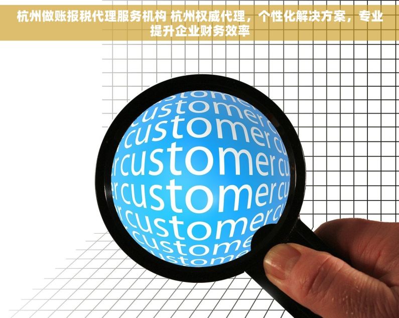 杭州做账报税代理服务机构 杭州权威代理，个性化解决方案，专业提升企业财务效率