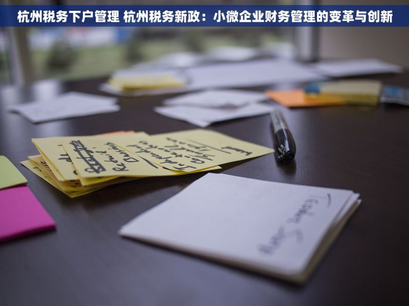 杭州税务下户管理 杭州税务新政：小微企业财务管理的变革与创新