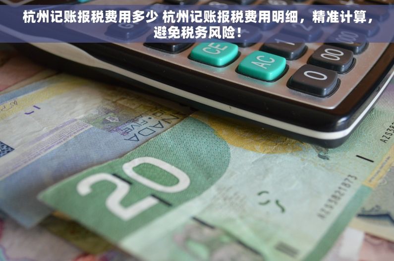 杭州记账报税费用多少 杭州记账报税费用明细，精准计算，避免税务风险！
