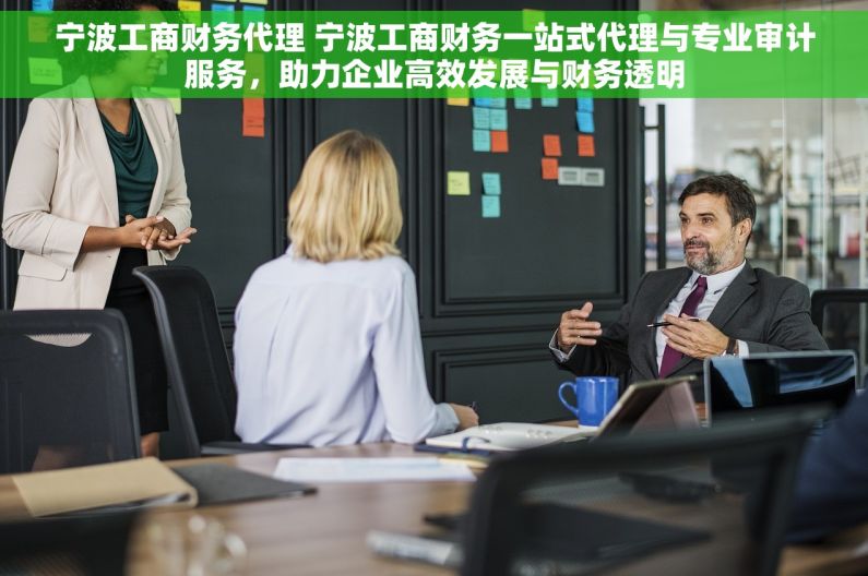 宁波工商财务代理 宁波工商财务一站式代理与专业审计服务，助力企业高效发展与财务透明