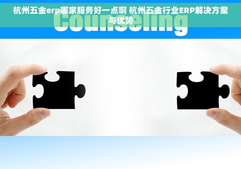 杭州五金erp哪家服务好一点啊 杭州五金行业ERP解决方案与优势