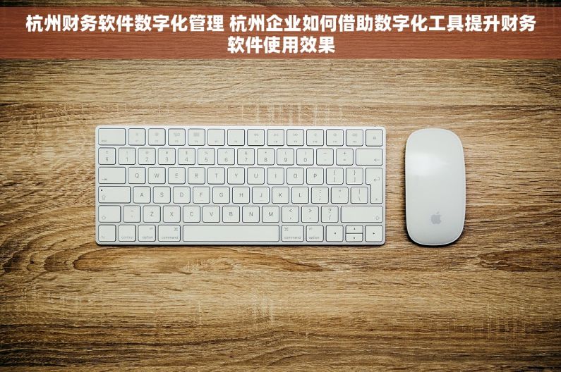 杭州财务软件数字化管理 杭州企业如何借助数字化工具提升财务软件使用效果