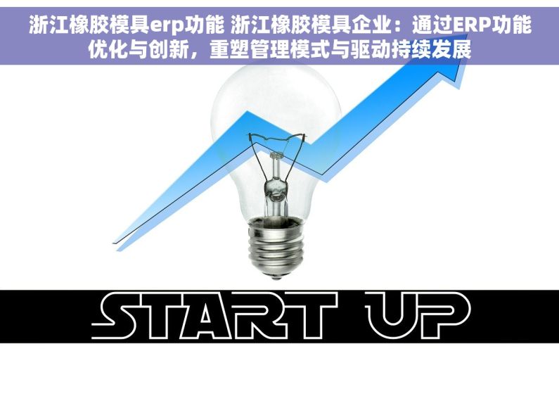 浙江橡胶模具erp功能 浙江橡胶模具企业：通过ERP功能优化与创新，重塑管理模式与驱动持续发展