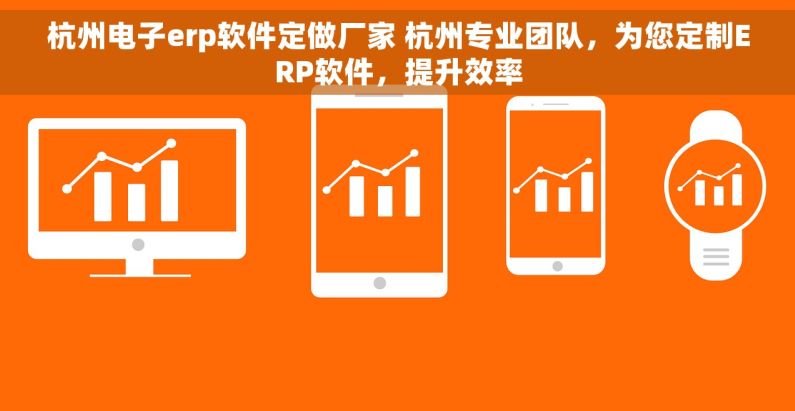 杭州电子erp软件定做厂家 杭州专业团队，为您定制ERP软件，提升效率