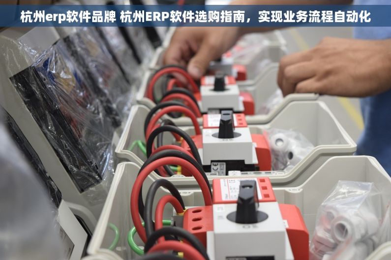 杭州erp软件品牌 杭州ERP软件选购指南，实现业务流程自动化