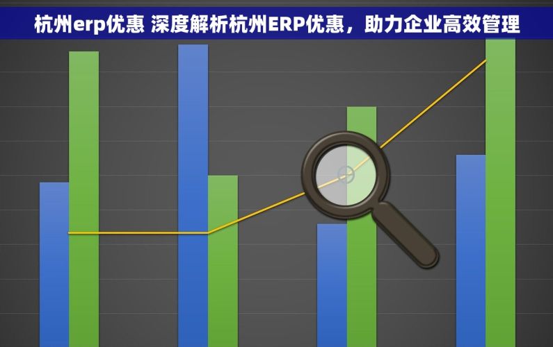 杭州erp优惠 深度解析杭州ERP优惠，助力企业高效管理