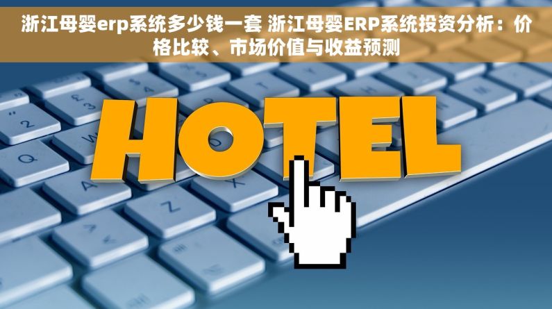 浙江母婴erp系统多少钱一套 浙江母婴ERP系统投资分析：价格比较、市场价值与收益预测