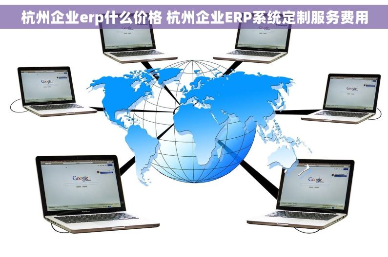 杭州企业erp什么价格 杭州企业ERP系统定制服务费用