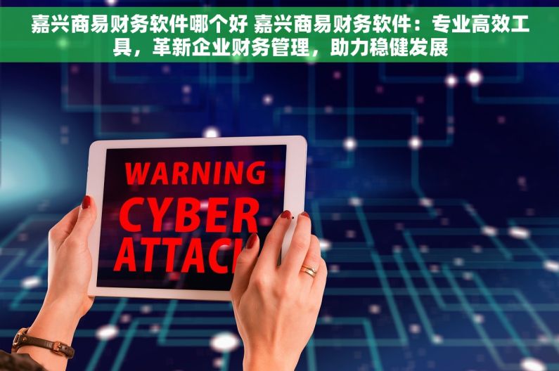 嘉兴商易财务软件哪个好 嘉兴商易财务软件：专业高效工具，革新企业财务管理，助力稳健发展