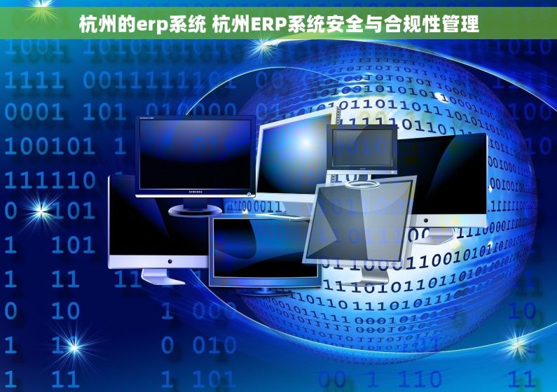 杭州的erp系统 杭州ERP系统安全与合规性管理