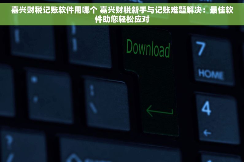 嘉兴财税记账软件用哪个 嘉兴财税新手与记账难题解决：最佳软件助您轻松应对