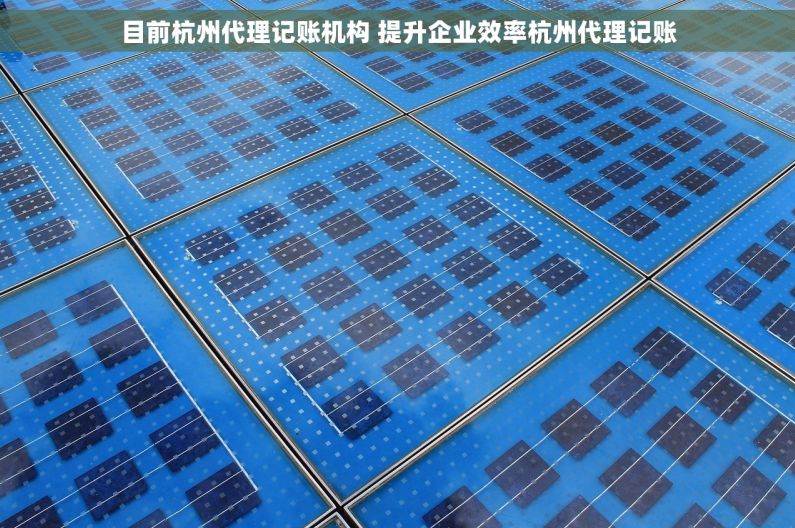 目前杭州代理记账机构 提升企业效率杭州代理记账