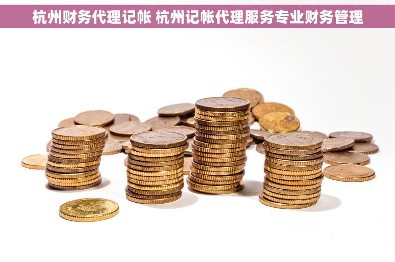 杭州财务代理记帐 杭州记帐代理服务专业财务管理