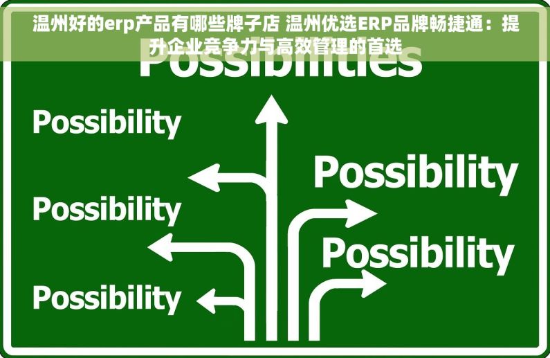 温州好的erp产品有哪些牌子店 温州优选ERP品牌畅捷通：提升企业竞争力与高效管理的首选