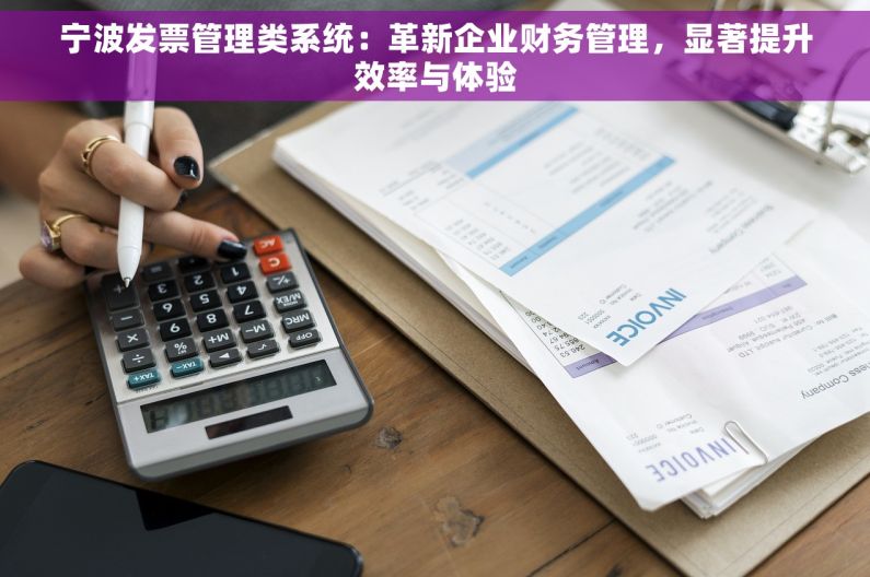 宁波发票管理类系统：革新企业财务管理，显著提升效率与体验