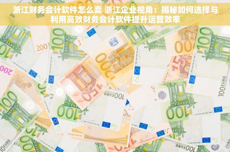 浙江财务会计软件怎么卖 浙江企业视角：揭秘如何选择与利用高效财务会计软件提升运营效率