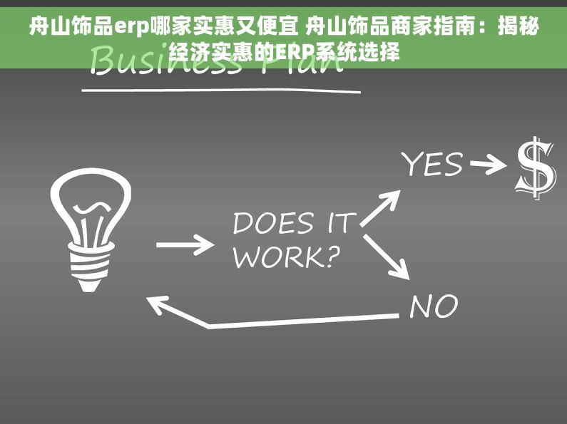 舟山饰品erp哪家实惠又便宜 舟山饰品商家指南：揭秘经济实惠的ERP系统选择