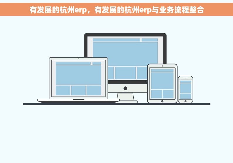 有发展的杭州erp，有发展的杭州erp与业务流程整合