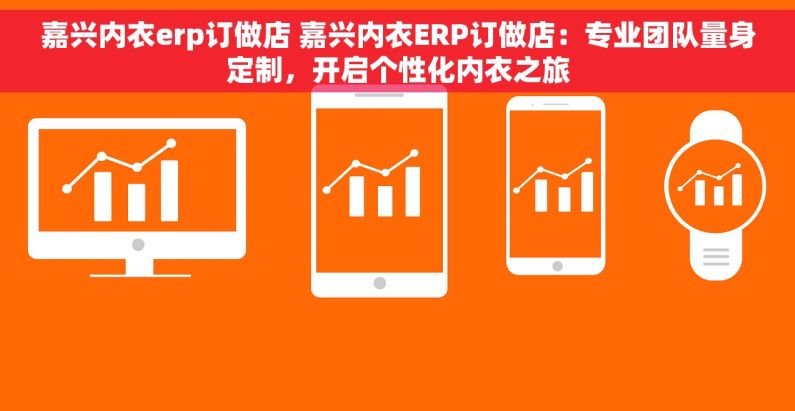 嘉兴内衣erp订做店 嘉兴内衣ERP订做店：专业团队量身定制，开启个性化内衣之旅