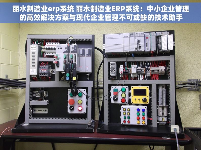 丽水制造业erp系统 丽水制造业ERP系统：中小企业管理的高效解决方案与现代企业管理不可或缺的技术助手