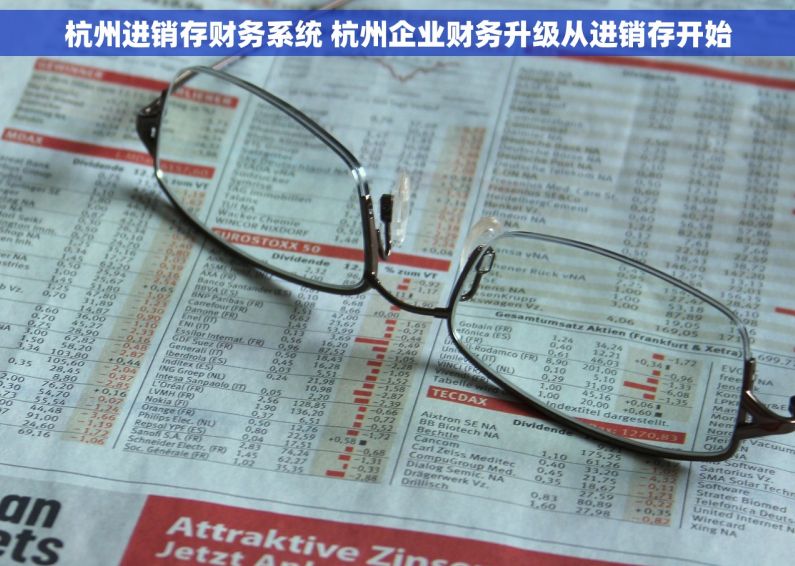 杭州进销存财务系统 杭州企业财务升级从进销存开始