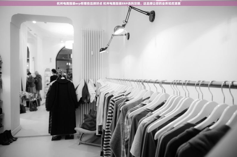 杭州电商服装erp有哪些品牌好点 杭州电商服装ERP选购攻略，这品牌让你的业务如虎添翼
