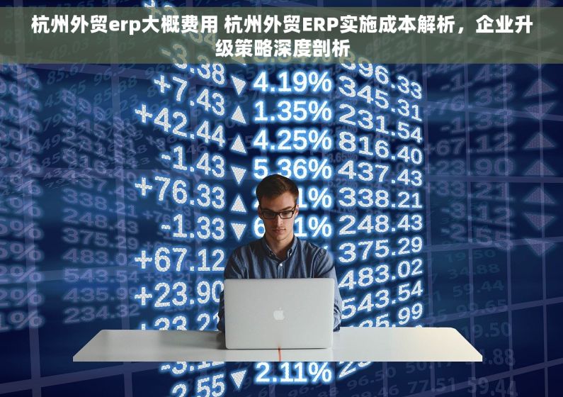 杭州外贸erp大概费用 杭州外贸ERP实施成本解析，企业升级策略深度剖析