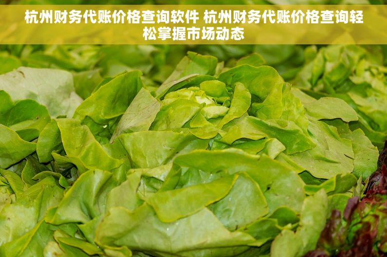 杭州财务代账价格查询软件 杭州财务代账价格查询轻松掌握市场动态